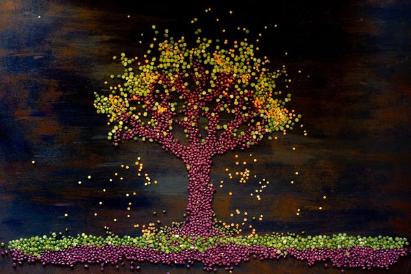 Quelle est la bonne pratique pour utiliser des encres végétales dans l'industrie de l'impression ?